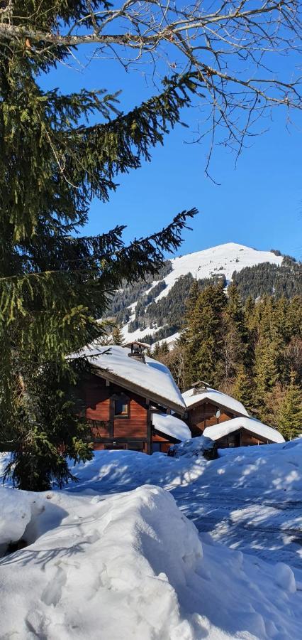 Le Chalet De Nabor Les Gets Kültér fotó