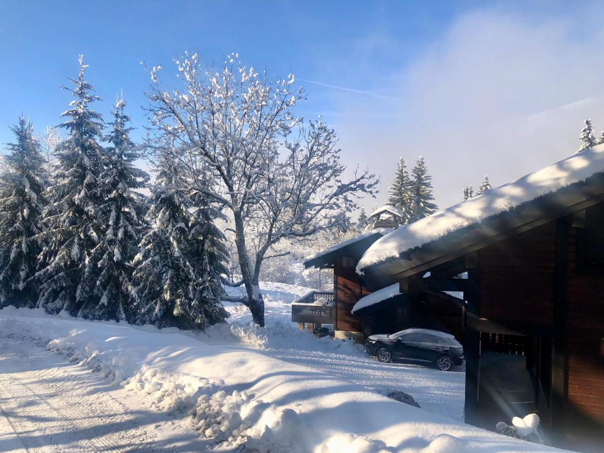 Le Chalet De Nabor Les Gets Kültér fotó