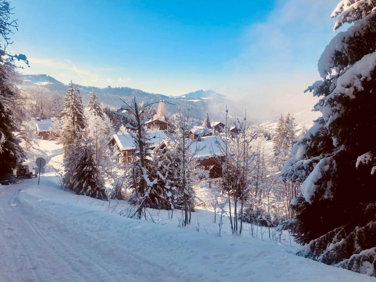 Le Chalet De Nabor Les Gets Kültér fotó