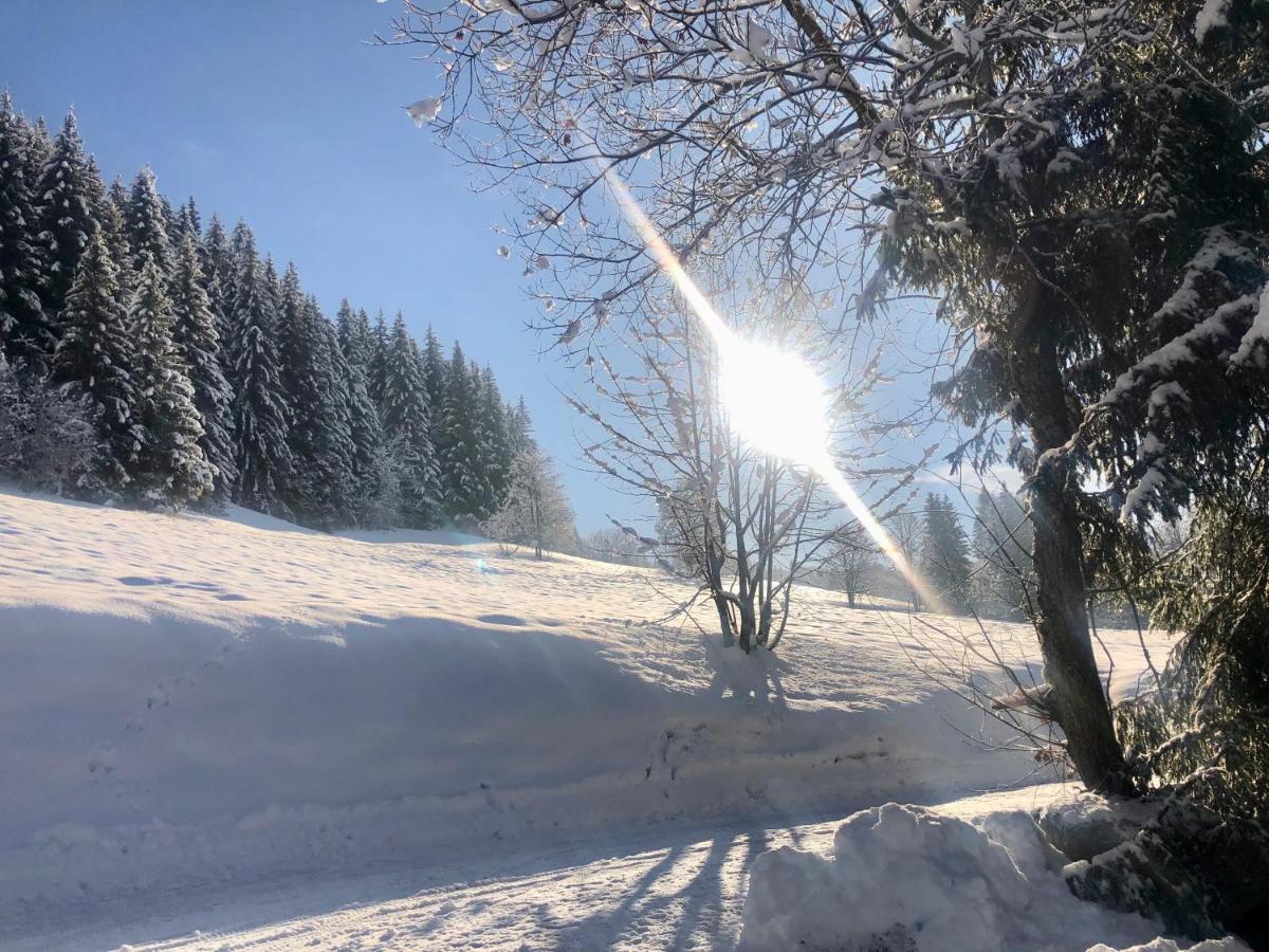Le Chalet De Nabor Les Gets Kültér fotó